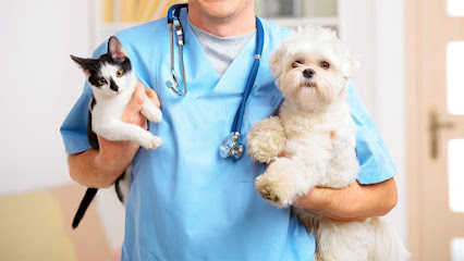 Imagem ilustrativa da empresa CLÍNICA VETERINÁRIA DOG JR em Manaus - AM