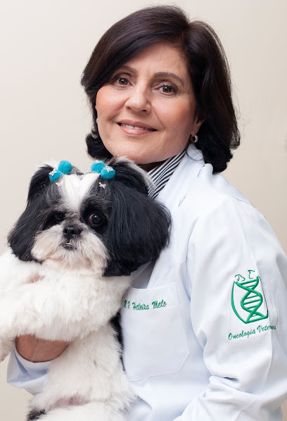 Imagem ilustrativa da empresa Clínica Veterinária Dog Med em São José dos Campos - SP