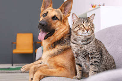 Clínica Veterinária Dona Mariana em Rio de Janeiro - RJ
