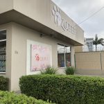 Imagem ilustrativa da empresa Clínica Veterinária Dr. Pires em Manaus - AM