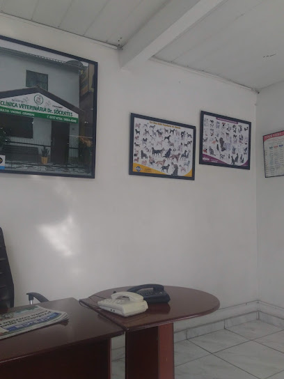Clínica Veterinária Dr. Sócrates - Japiim em Manaus - AM