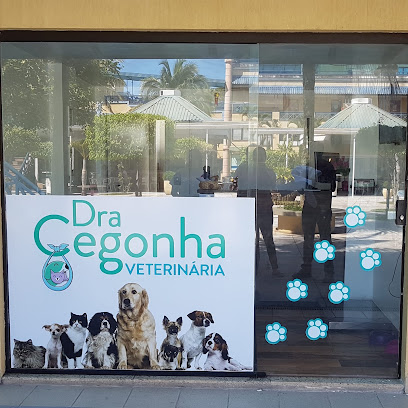 Clínica Veterinária Dra. Cegonha em Rio de Janeiro - RJ
