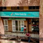 Imagem ilustrativa da empresa Clínica Veterinária | Drª. Lia Guaraciaba em Brasília - DF