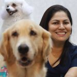 Imagem ilustrativa da empresa Clínica Veterinária Dr.Brilhante em Manaus - AM