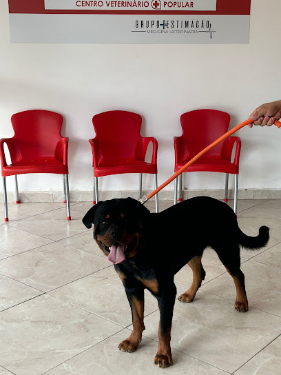 Clínica Veterinária - Grupo Estimacão - Unidade Santa Julia em São José dos Campos - SP
