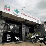 Imagem ilustrativa da empresa Clínica Veterinária G&Silva em João Pessoa - PB