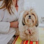 Imagem ilustrativa da empresa Clínica Veterinária Jardim Botânico em Brasília - DF