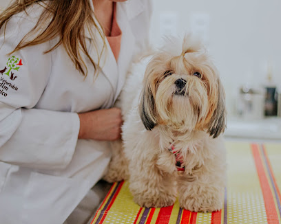 Clínica Veterinária Jardim Botânico em Brasília - DF