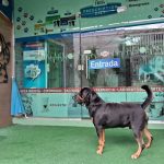 Imagem ilustrativa da empresa Clínica Veterinária Linameg em Manaus - AM