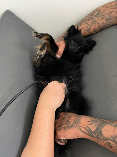 Clinica Veterinária Lobo Guará 24 horas em Brasília - DF
