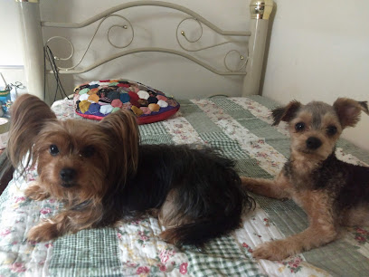Clínica Veterinária Mundo Animal em Uberlândia - MG