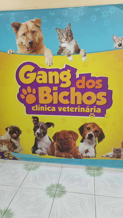 Clínica Veterinária & Pet shop Gang dos Bichos em Manaus - AM