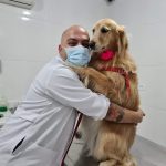 Imagem ilustrativa da empresa Clínica Veterinária Physiovet em Santo André - SP