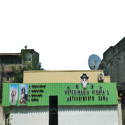 Clínica veterinária Pirata's em São Gonçalo - RJ