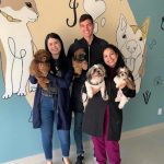 Imagem ilustrativa da empresa Clínica Veterinária Puppies em Brasília - DF