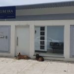 Imagem ilustrativa da empresa Clínica VETERINÁRIA RIBEIRA em Rio de Janeiro - RJ