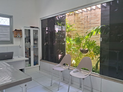 Clínica Veterinária Safe Vet em Natal - RN