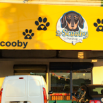 Imagem ilustrativa da empresa Clínica Veterinária Sr. Scooby Pet Shop em Manaus - AM