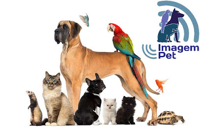 Clínica Veterinária Toca dos Bichos em Rio de Janeiro - RJ