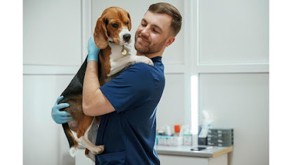 Imagem ilustrativa da empresa Clinica Veterinária Tribo Do Cão em Brasília - DF