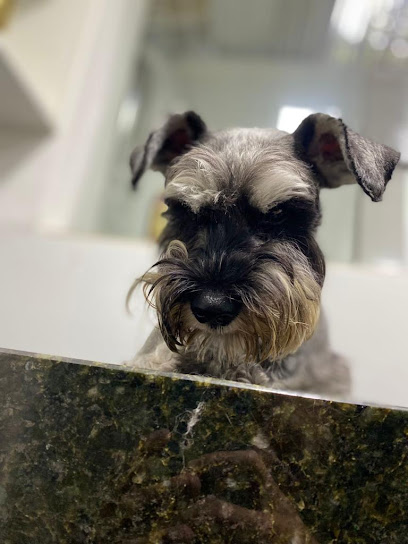 Clínica Veterinária UniVet em Brasília - DF