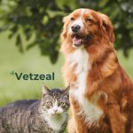 Imagem ilustrativa da empresa Clínica Veterinária Vetzeal em São Gonçalo - RJ