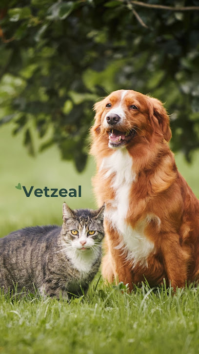 Clínica Veterinária Vetzeal em São Gonçalo - RJ