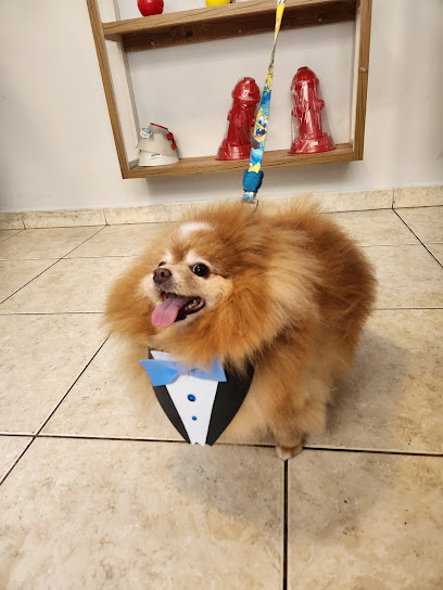 Imagem ilustrativa da empresa Clinpety Banho e tosa + Consulta veterinária em São Bernardo do Campo - SP