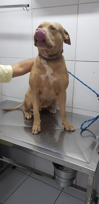 Consulpet - Veterinário em Natal - RN