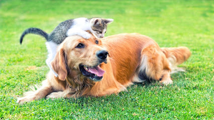Consultório Dra Maristela Possati - Veterinário em São Gonçalo - RJ