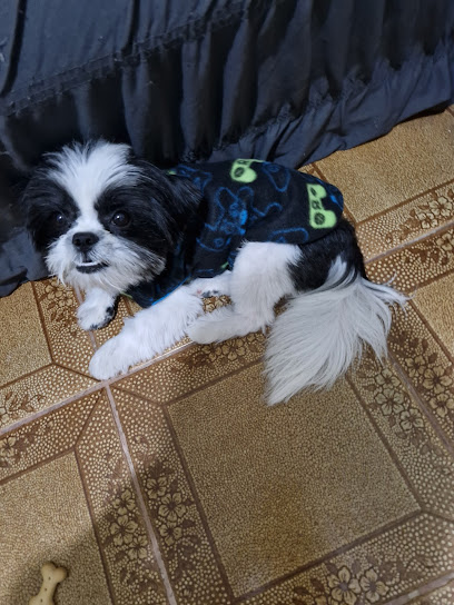 Consultório veterinário dra. Liliane Sabino em São Gonçalo - RJ