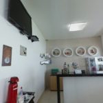Imagem ilustrativa da empresa Consultório veterinário Dr.Cassius. em Uberlândia - MG
