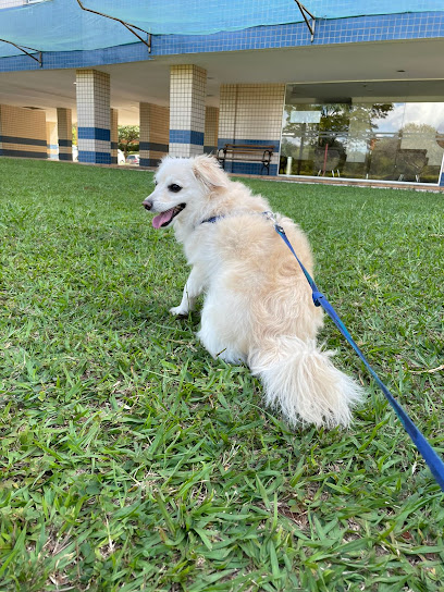 Criapet Pet Shop e Clínica Veterinária no Lago Sul em Brasília - DF