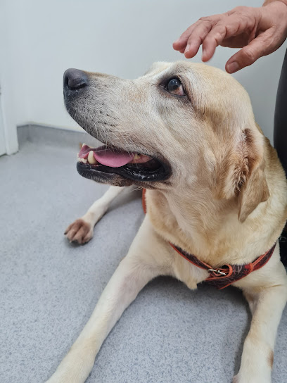 CSV - Centro de Saúde Veterinária em Natal - RN