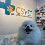 Imagem ilustrativa da empresa CSVET | Hospital Veterinário 24 horas em Uberlândia - MG