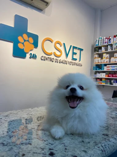 CSVET | Hospital Veterinário 24 horas em Uberlândia - MG