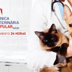 Imagem ilustrativa da empresa CVP Méier - Clínica Veterinária Popular 24h em Rio de Janeiro - RJ