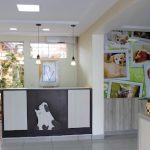 Imagem ilustrativa da empresa Diagnovet Clínica Veterinária em São José dos Campos - SP