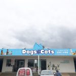 Imagem ilustrativa da empresa DOGS E CATS | Clínica Veterinária, Exames, Cirurgias e Petshop – Cruzeiro Brasília DF em Brasília - DF