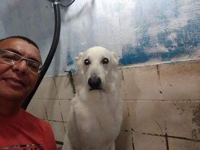 Dog's House - Veterinário em Natal - RN