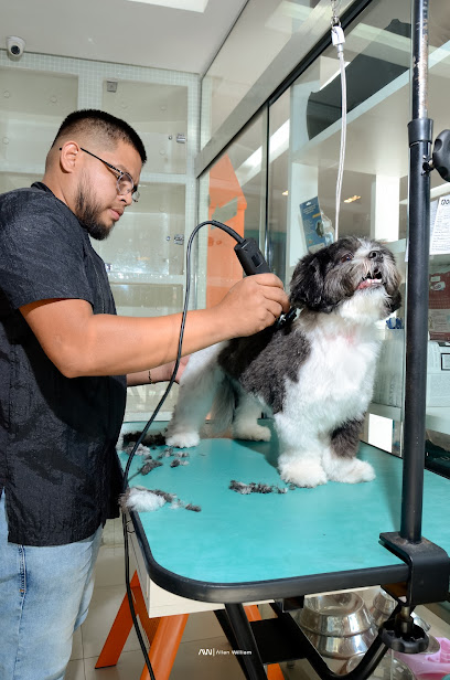 Dom Centro Veterinário e Pet Shop em Manaus - AM