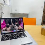 Imagem ilustrativa da empresa Dr Pet Clínica Veterinária São José Dos Campos em São José dos Campos - SP