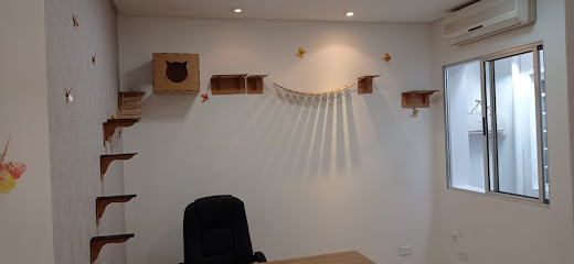 Dr Pets - Veterinário em Santo André - SP