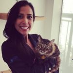 Imagem ilustrativa da empresa Dra Fernanda Lanzelotti - Médica Veterinária Acupuntura e Felinos em Uberlândia - MG