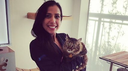 Dra Fernanda Lanzelotti - Médica Veterinária Acupuntura e Felinos em Uberlândia - MG