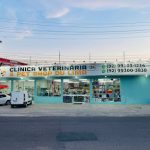 Imagem ilustrativa da empresa Du Lima clínica vet e pet shop - Veterinário em Manaus - AM
