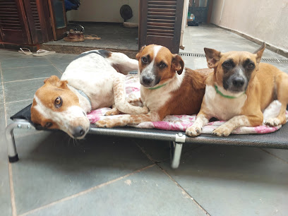 EB Clínica Veterinária & Pet Shop em São Bernardo do Campo - SP