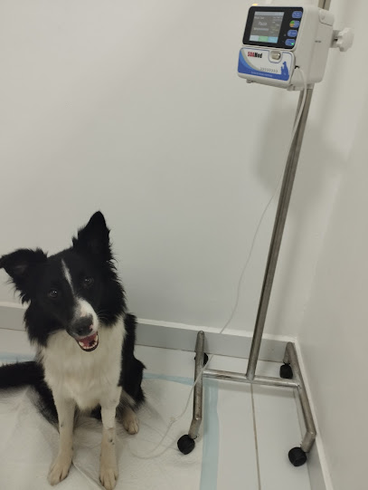 Equilibrium Centro Cardiorrenal e Hemodiálise Veterinário em Natal - RN
