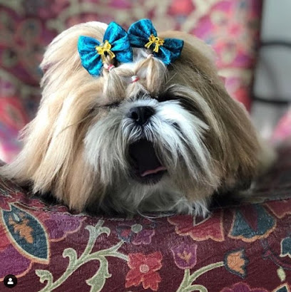 EurekaPet Shop e Clínica Veterinária em Santo André - SP