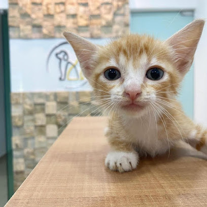 Eurovet - Clínica Veterinária em Manaus - AM
